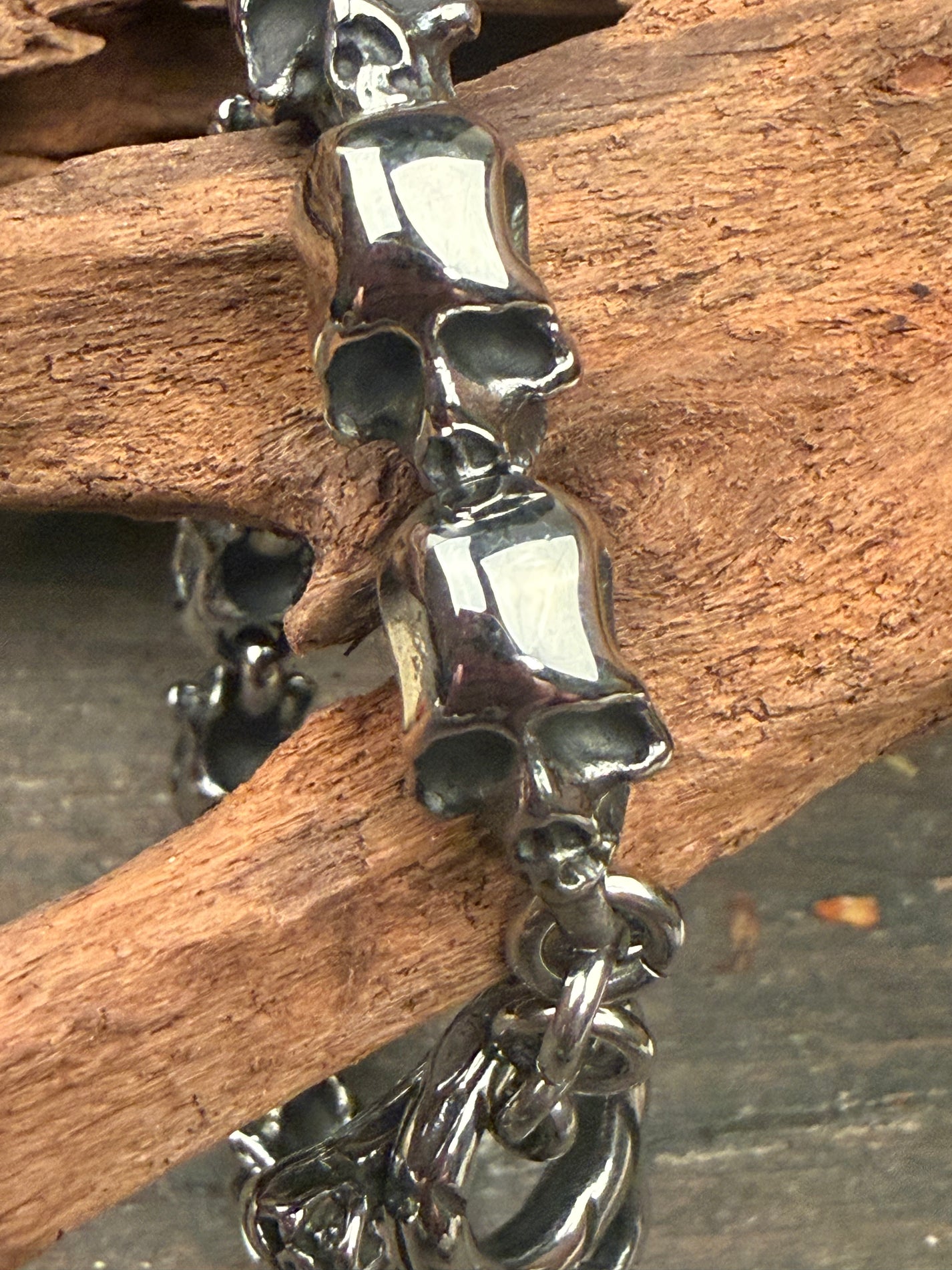 Silver Skulls