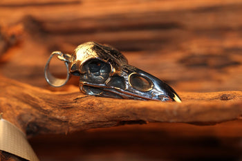 Bird Skull - Hellgate