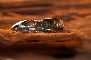 Bird Skull - Hellgate