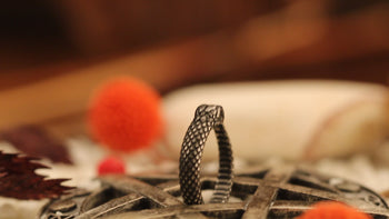 Ouroboros
