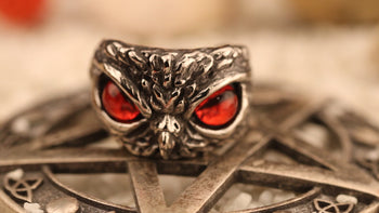 Angry Owl