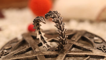 Lizard Spine