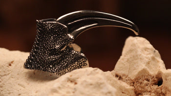 Eagle Claw
